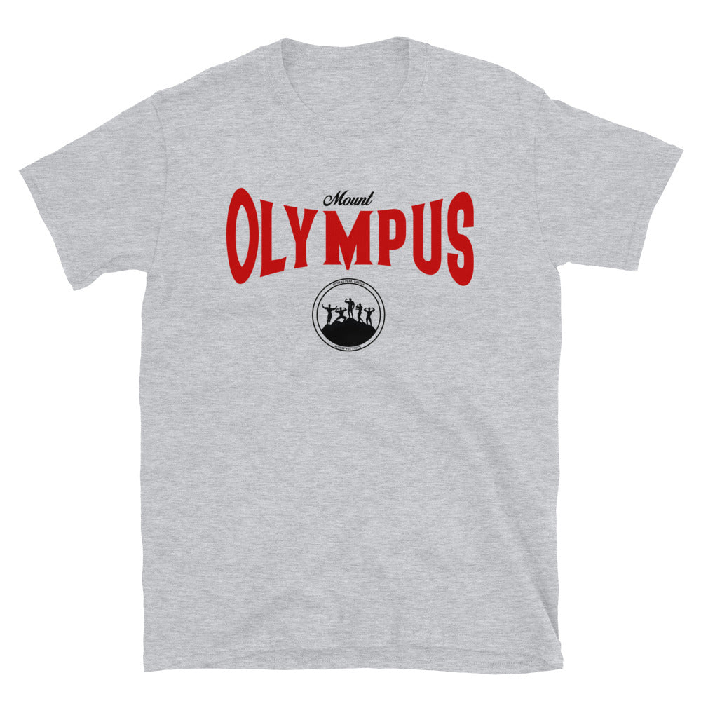 Mount Olympus Tee - Grey