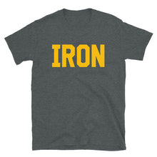 Load image into Gallery viewer, Iron Tee - Grey/Gold
